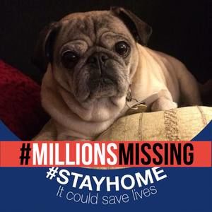 Meet your Posher, Janice